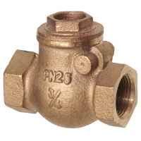 Copper Alloy Swing Check Valve PN25