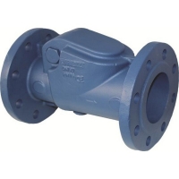 Cast Iron Swing Check Valve PN16