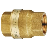 Brass Spring Check Valve PN25